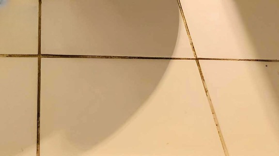 Πώς να καθαρίσετε τη μαυρίλα ανάμεσα στα πλακάκια στο μπάνιο – Το εύκολο κόλπο που δίνει λύση